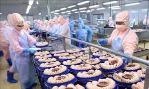 Việt Nam - Nhật Bản hướng tới giai đoạn phát triển mới