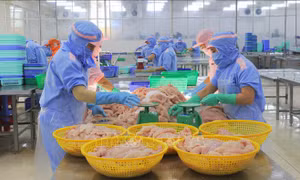 Đồng nhất, đồng chất sản phẩm xuất khẩu