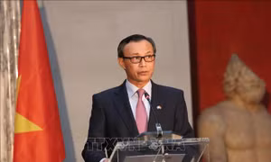 Đại sứ Lương Thanh Nghị: Quan hệ Việt Nam - Đan Mạch phát triển thực chất và hiệu quả