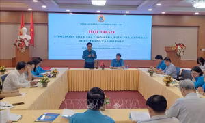 Chủ động trong thanh tra, kiểm tra các vấn đề liên quan đến lao động việc làm