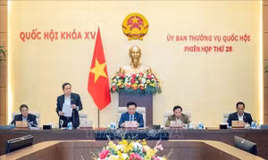 Thường vụ Quốc hội đánh giá kết quả thực hiện chương trình hoạt động đối ngoại, hợp tác quốc tế năm 2023