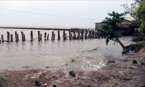 Kiên Giang công bố tình trạng sạt lở đê biển nghiêm trọng
