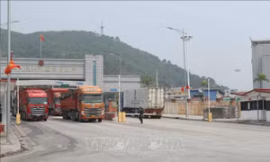 Việt Nam - Trung Quốc: Động lực mới cho tăng trưởng thương mại