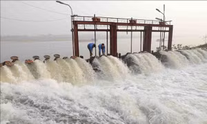 Hà Nội nhiều khả năng không lấy đủ nước gieo cấy lúa vụ Xuân
