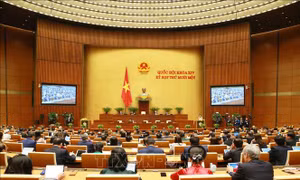 Quốc hội nghe ba báo cáo quan trọng và cho ý kiến dự thảo Luật Phòng, chống ma túy (sửa đổi)