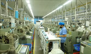 Tăng trưởng sản xuất công nghiệp ở hầu hết các địa phương trọng điểm