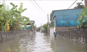 Vệ sinh môi trường, ngăn chặn bùng phát dịch bệnh sau mưa, ngập