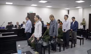 Cựu Tổng Giám đốc Tổng Công ty Chè Việt Nam bị phạt 12 năm tù
