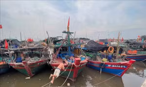 Hải Phòng: Chuẩn bị đồng bộ phương án phòng chống bão số 1