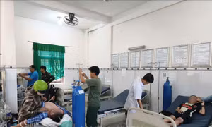 An Giang: Cấp cứu thành công 3 trường hợp sốc phản vệ do bị ong đốt