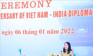 Kỷ niệm 50 năm thiết lập quan hệ ngoại giao Việt Nam - Ấn Độ