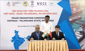 Doanh nghiệp Ấn Độ xúc tiến thương mại, công nghiệp tại thị trường TP Hồ Chí Minh