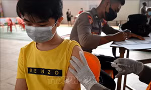 Indonesia: Bắt đầu tiêm vaccine ngừa COVID-19 cho trẻ em từ 6-11 tuổi