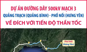 Dự án đường dây 500kV mạch 3 Quảng Trạch - Phố Nối về đích với tiến độ thần tốc