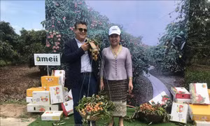 Giới thiệu tiềm năng phát triển, văn hóa, du lịch và con người Hải Dương