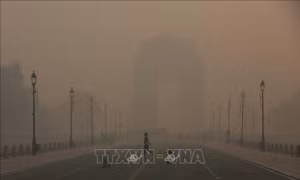 Khói mù bao trùm New Delhi do ô nhiễm không khí tồi tệ