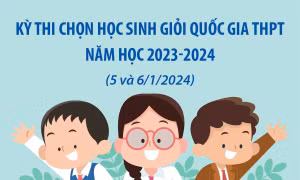 12 thủ khoa Kỳ thi chọn học sinh giỏi quốc gia THPT năm học 2023-2024