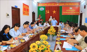Vĩnh Long: Tiếp tục đẩy mạnh tuyên truyền, vận động các tầng lớp nhân dân