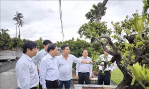 Thu hút du khách đến với vùng đất '4 mùa sung túc, đất lành chim đậu'