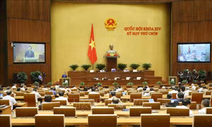 Thông cáo báo chí số 07, Kỳ họp thứ 9, Quốc hội khóa XIV 