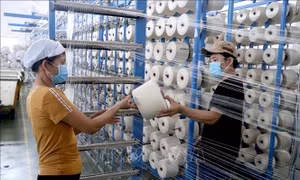 Tăng cường hỗ trợ, tạo việc làm cho người lao động