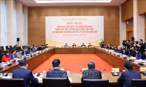 Hội nghị triển khai Nghị quyết hướng dẫn việc tổ chức hoạt động giải trình