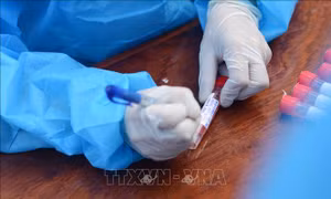 Một học sinh là F1, trường học ở Quảng Ninh phải tạm nghỉ