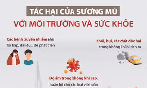 Tác hại của sương mù với môi trường và sức khỏe