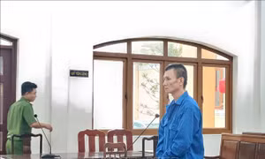Án chung thân dành cho 'nghịch tử'