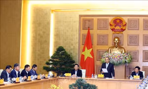 Thủ tướng giao xây dựng một trung tâm đổi mới sáng tạo theo mô hình Singapore