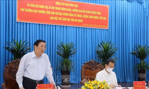 Ban Nội chính Trung ương yêu cầu xử lý nghiêm, dứt điểm các vụ án, vụ việc xảy ra tại An Giang