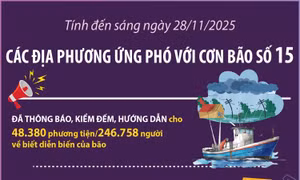 Các địa phương ứng phó với cơn bão số 15 (tính đến sáng 28/11/2025)