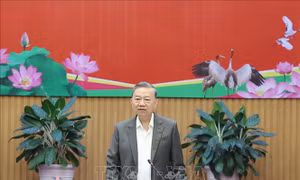 Tổng Bí thư Tô Lâm: Xây dựng tỉnh Đồng Tháp phát triển trong nhóm dẫn đầu vùng Đồng bằng sông Cửu Long