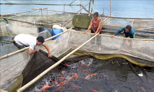 Đẩy mạnh mục tiêu giảm nghèo bền vững trong cả nước