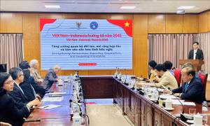 Việt Nam - Indonesia hướng tới năm 2045: Tăng cường quan hệ đối tác, tình hữu nghị