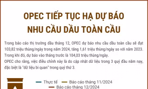 OPEC tiếp tục hạ dự báo nhu cầu dầu toàn cầu