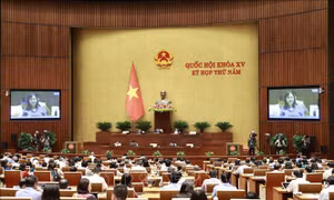 Ngày 21/6, Quốc hội thảo luận ở hội trường về dự án Luật Đất đai (sửa đổi)