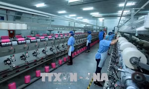Thủ tướng chỉ thị triển khai giải pháp thúc đẩy xuất khẩu