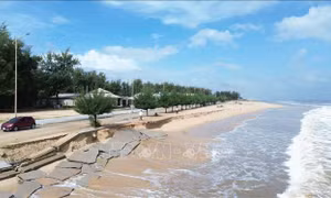 Thừa Thiên - Huế: Gia cố khẩn cấp điểm sạt lở, ngăn biển xâm thực