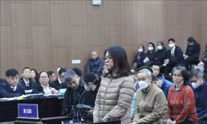 Vụ nhận hối lộ tại Cục An toàn thực phẩm: Gây khó khăn để 'ép' doanh nghiệp đưa tiền