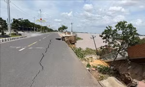 Đồng Tháp khẩn cấp ứng phó nguy cơ sạt lở bờ sông Tiền