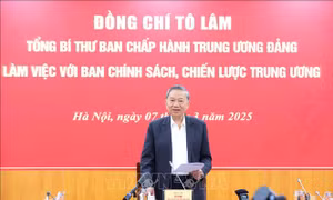 Bài viết của Tổng Bí thư Tô Lâm: 'Phát triển kinh tế tư nhân - Đòn bẩy cho một Việt Nam thịnh vượng'