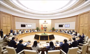 Nghị quyết phiên họp Chính phủ thường kỳ tháng 11/2022