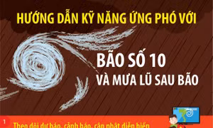 Hướng dẫn kỹ năng ứng phó với bão số 10 và mưa lũ sau bão