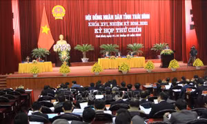 Thái Bình: Chất vấn tình trạng chuyển đổi, sử dụng đất nông nghiệp sai mục đích