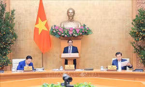  Thủ tướng chủ trì Phiên họp chuyên đề về xây dựng pháp luật tháng 2/2024