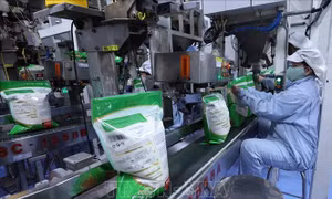 Tận dụng FTA, mở rộng và đa dạng hóa thị trường xuất khẩu gạo