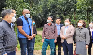 Chương trình hỗ trợ rừng và trang trại giúp người dân phát triển sinh kế bền vững
