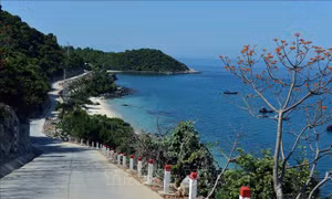 Xã đảo Tân Hiệp đón nhận danh hiệu 'nông thôn mới nâng cao'