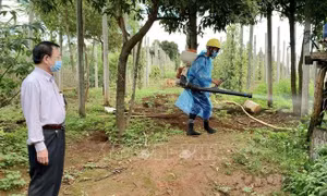 Phát hiện thêm một ca dương tính với vi khuẩn bạch hầu tại Gia Lai